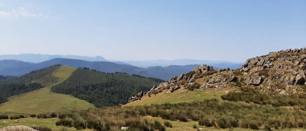 Rutas guiadas culturales y naturales por Donostialdea